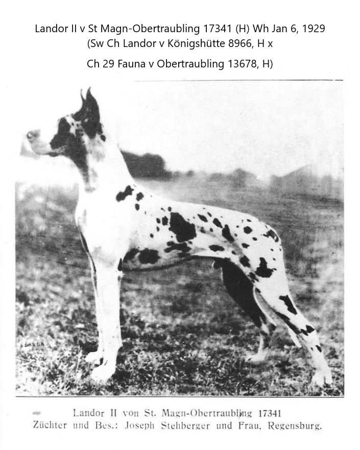 Landor II von St Magn-Obertraubling